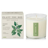 Kobo Plant the Box Candle