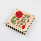 Flower Press - Corn Poppy