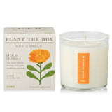 Kobo Plant the Box Candle