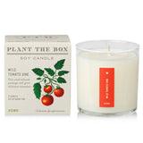 Kobo Plant the Box Candle