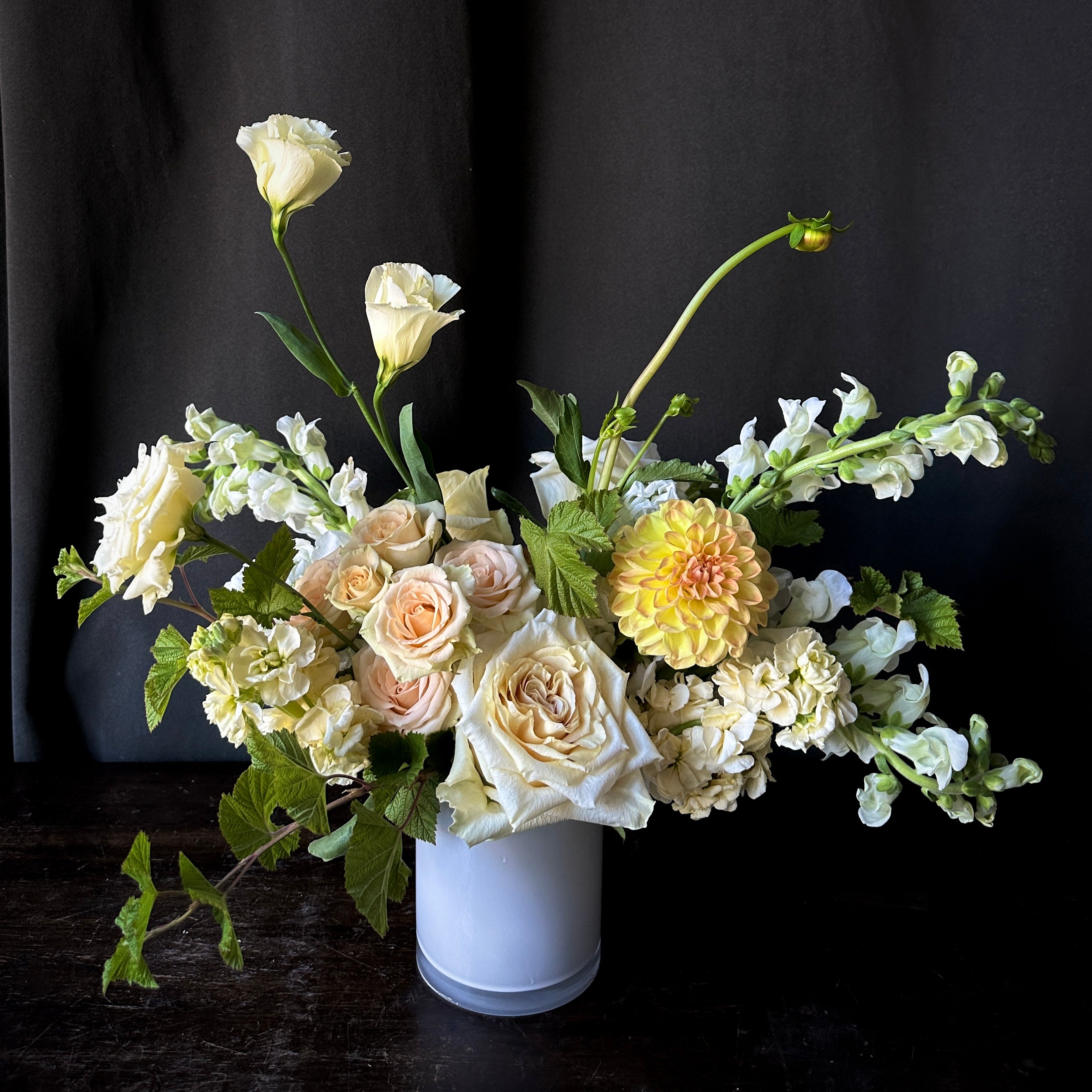 Moonlight Terra Bella Flowers