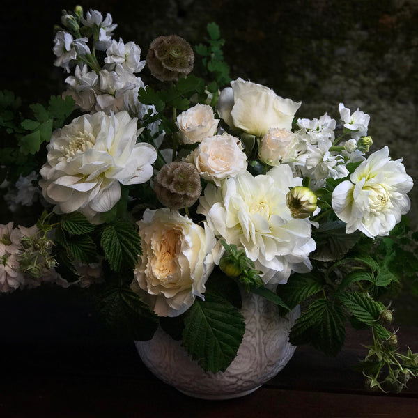 White Light