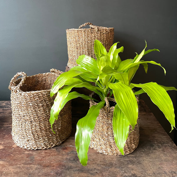 Hacienda Baskets