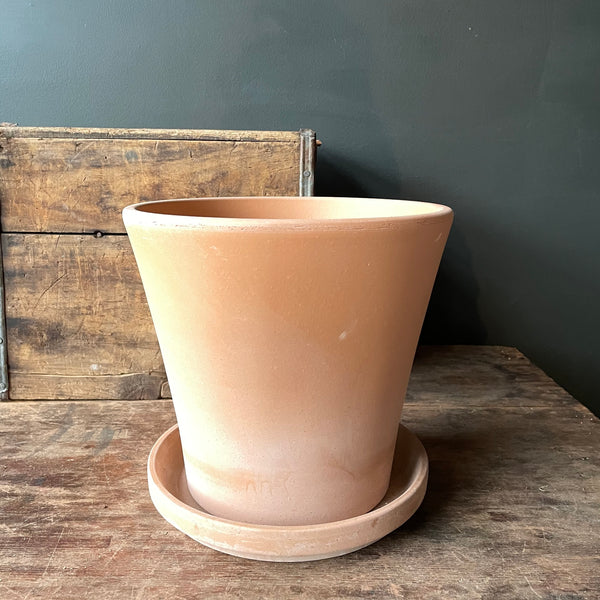Terra Cotta Pot & Saucer