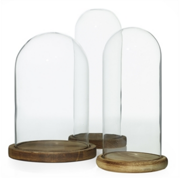 Container - Lloyd Cloche