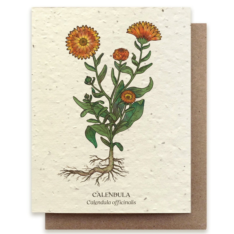 Plantable Seed Card Box Set