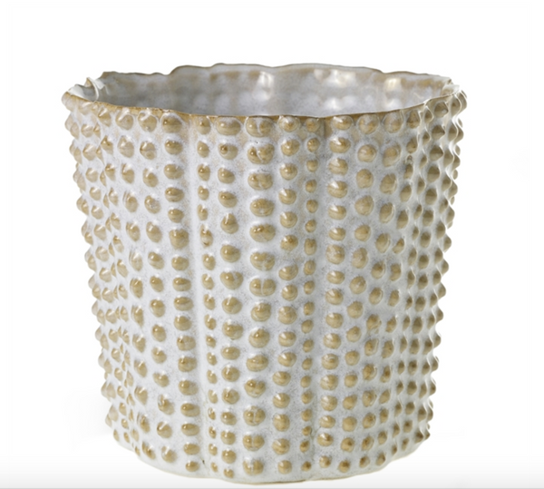 Container -Nilly