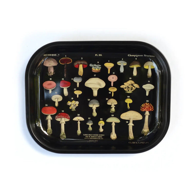 Trinket Tray