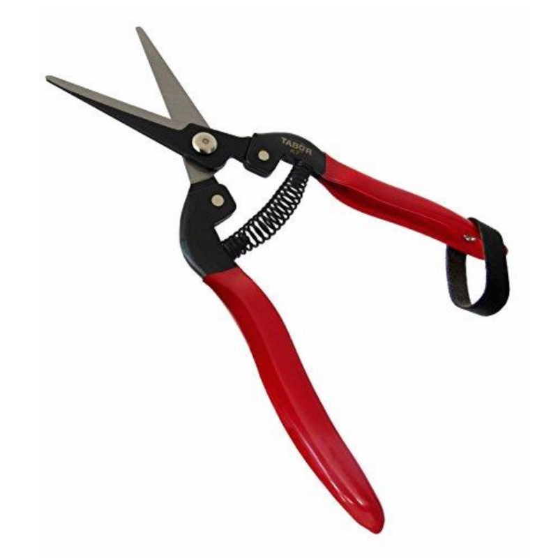 Florist Straight Pruners