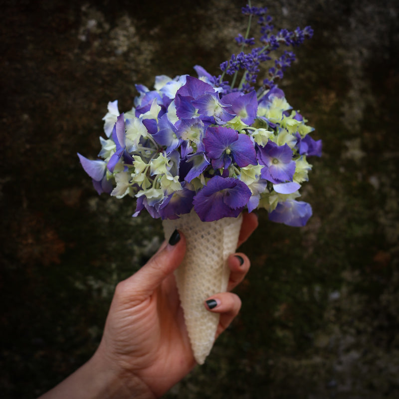 Floral Cones