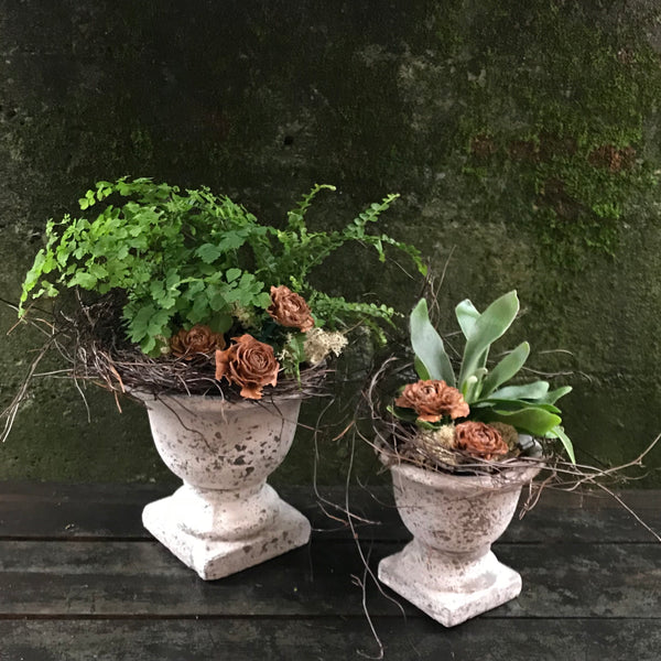 Nested Ferns