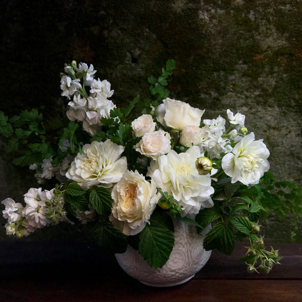 White Light