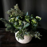 Kalanchoe & Juniper