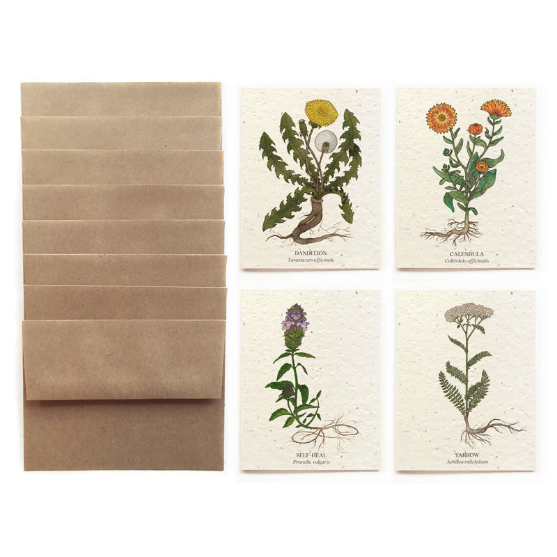 Plantable Seed Card Box Set